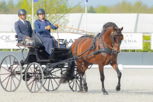 Jovens oliveirenses brilham em competição internacional de atrelagem na Holanda