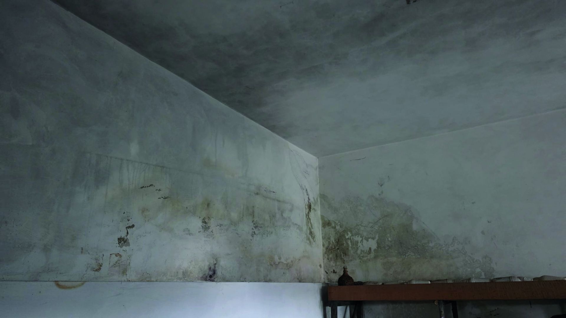 Devido às infiltrações da água, a casa de Rosa sofre com humidades constantes